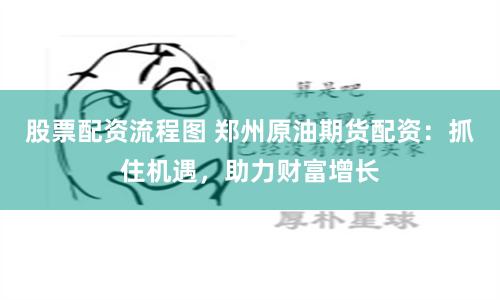 股票配资流程图 郑州原油期货配资：抓住机遇，助力财富增长