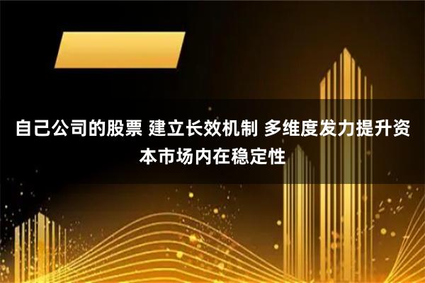 自己公司的股票 建立长效机制 多维度发力提升资本市场内在稳定性