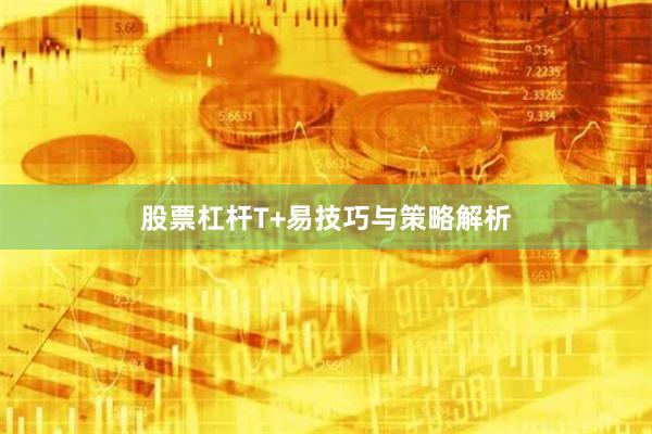 股票杠杆T+易技巧与策略解析