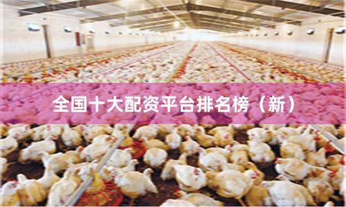 全国十大配资平台排名榜（新）