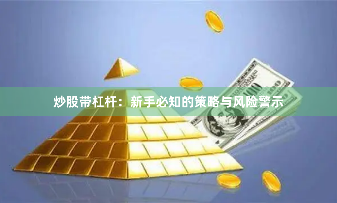 炒股带杠杆:新手必知的策略与风险警示